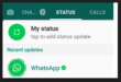 Tahun Depan WhatsApp Tidak Bebas Iklan Lagi