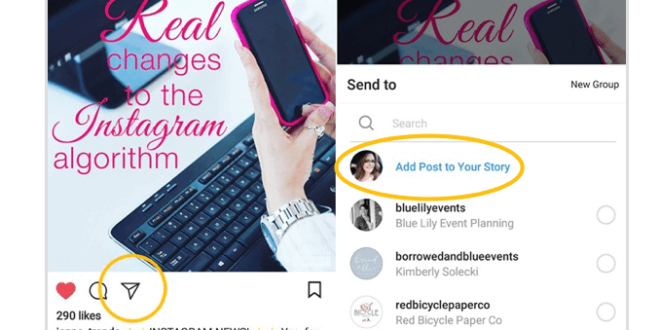 Mencegah Postingan Instagram di Posting Ulang Ke Stories