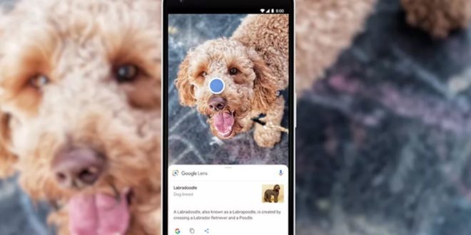 Cara Menggunakan Google Lens di iPhone dan iPad Terbaru