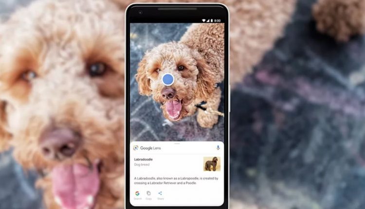 Cara Menggunakan Google Lens di iPhone dan iPad Terbaru