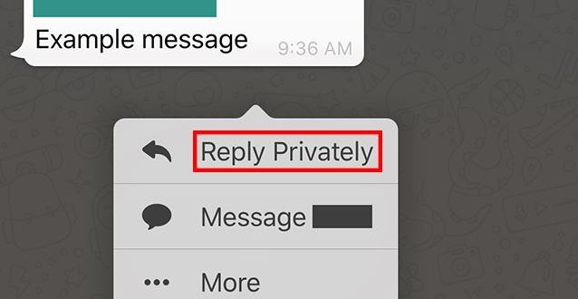 Cara Membalas Chat WhatsApp Secara Rahasia di Grup WA Pada iPhone