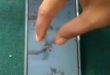3 Cara Screenshot HP Vivo Y19