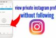 Cara Melihat Akun Instagram yang Dikunci