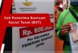 Cek Penerima Bantuan Sosial Tunai (BST)