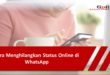 Cara Menghilangkan Online di WhatsApp Tanpa Aplikasi
