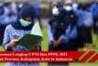 Formasi Lengkap CPNS Dan PPPK 2021 Untuk Provinsi, Kabupaten, Kota Se Indonesia