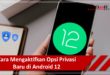 Cara Mengaktifkan Opsi Privasi Baru di Android 12