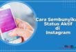 Cara Menyembunyikan Status Aktif di Instagram