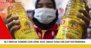 Simak Cara Cek Daftar Penerima BLT Minyak Goreng Cair April 2022