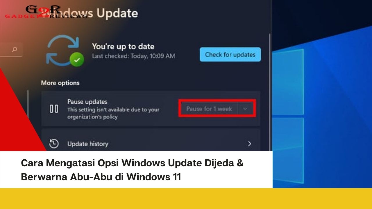 Cara Mengatasi Opsi Windows Update Dijeda & Berwarna Abu-Abu di Windows 11