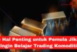 4 Hal Penting untuk Pemula Jika Ingin Belajar Trading Komoditi