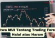 fatwa mui tentang trading forex