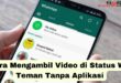 Cara Mengambil Video di Status WA Teman Tanpa Aplikasi