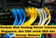 Perbedaan Web Hosting Server Indonesia, Singapura, dan USA untuk SEO dan Kinerja Website