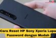 Cara Reset HP Sony Xperia Lupa Password