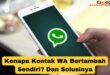 Kenapa Kontak WA Bertambah Sendiri