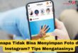 Kenapa Tidak Bisa Menyimpan Foto dari Instagram?