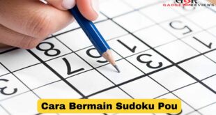 Cara Bermain Sudoku Pou