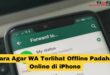 Cara Agar WA Terlihat Offline Padahal Online di iPhone