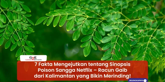 Sinopsis Poison Sangga Netflix