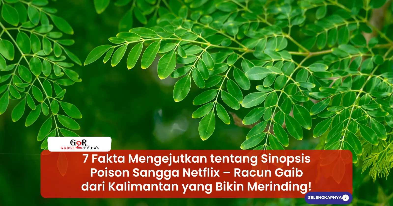 Sinopsis Poison Sangga Netflix